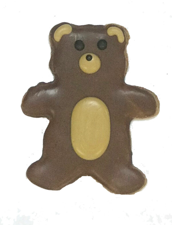 new teddy bear COPY