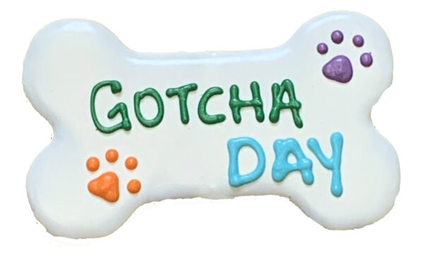 6-in-Gotcha-Day