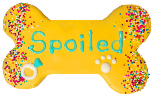 SPOILED-YELLOW---2025-web-00856