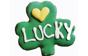 St Patricks lucky clover dog biscuit