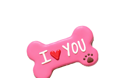 Valentines dog treat i love you bone